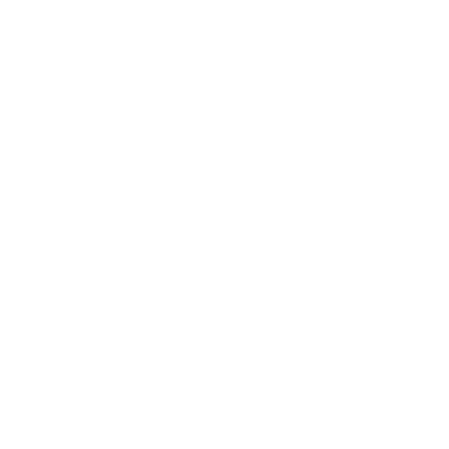 The Butterfly Within Foundation