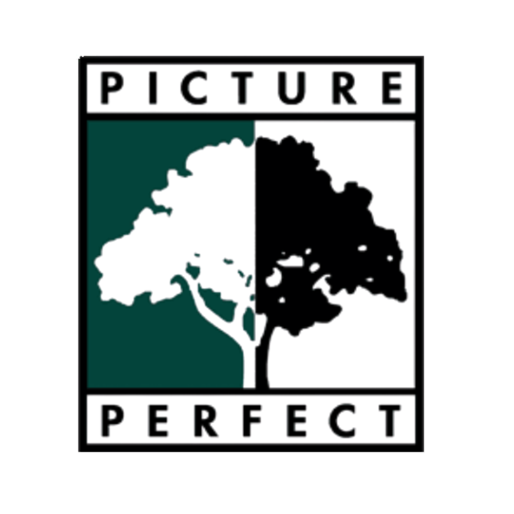 Picture Perfect Construction