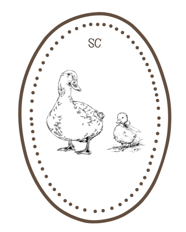 Sayre Creative Studio