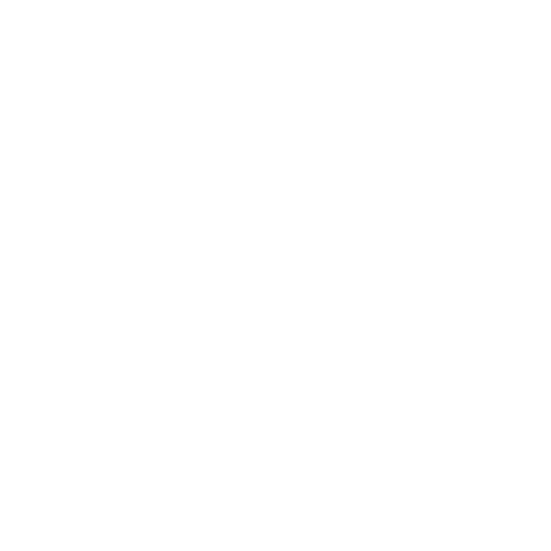 SpinReports