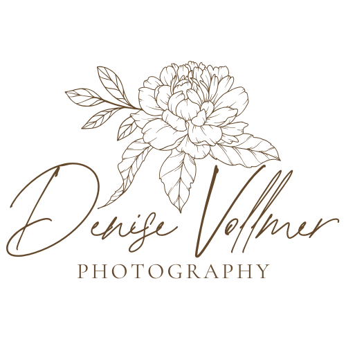 Denise Vollmer Photography