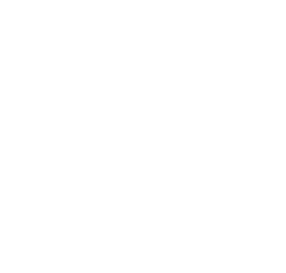 The Komodo Group