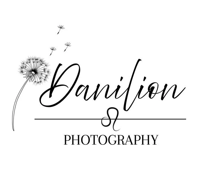 Danilion Photography