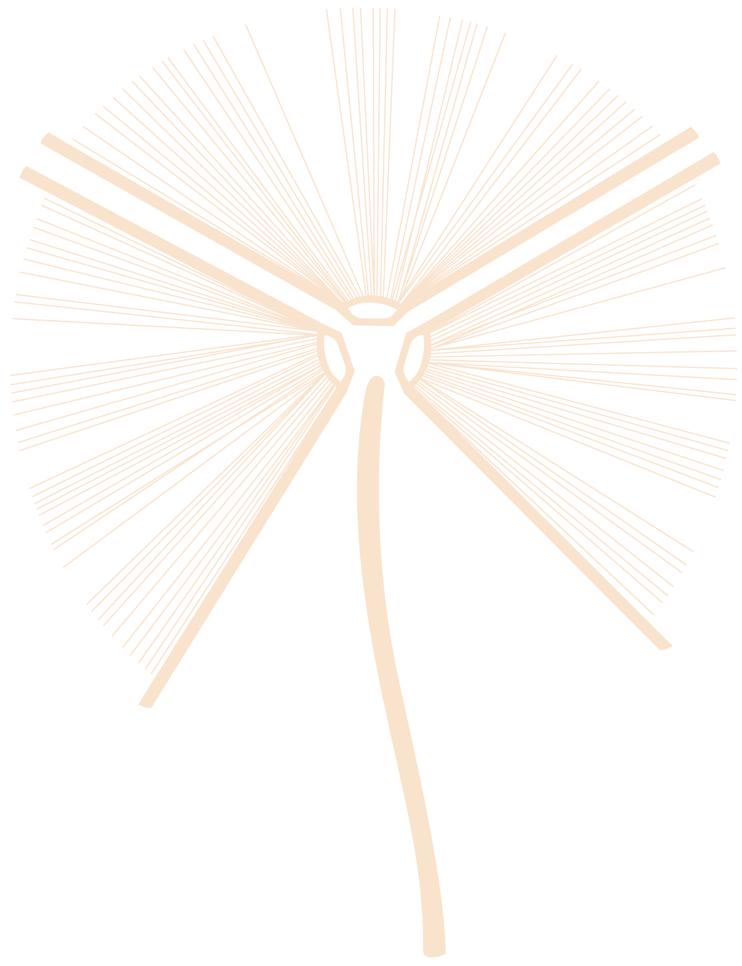 Bound - The Letterbox Book Collective