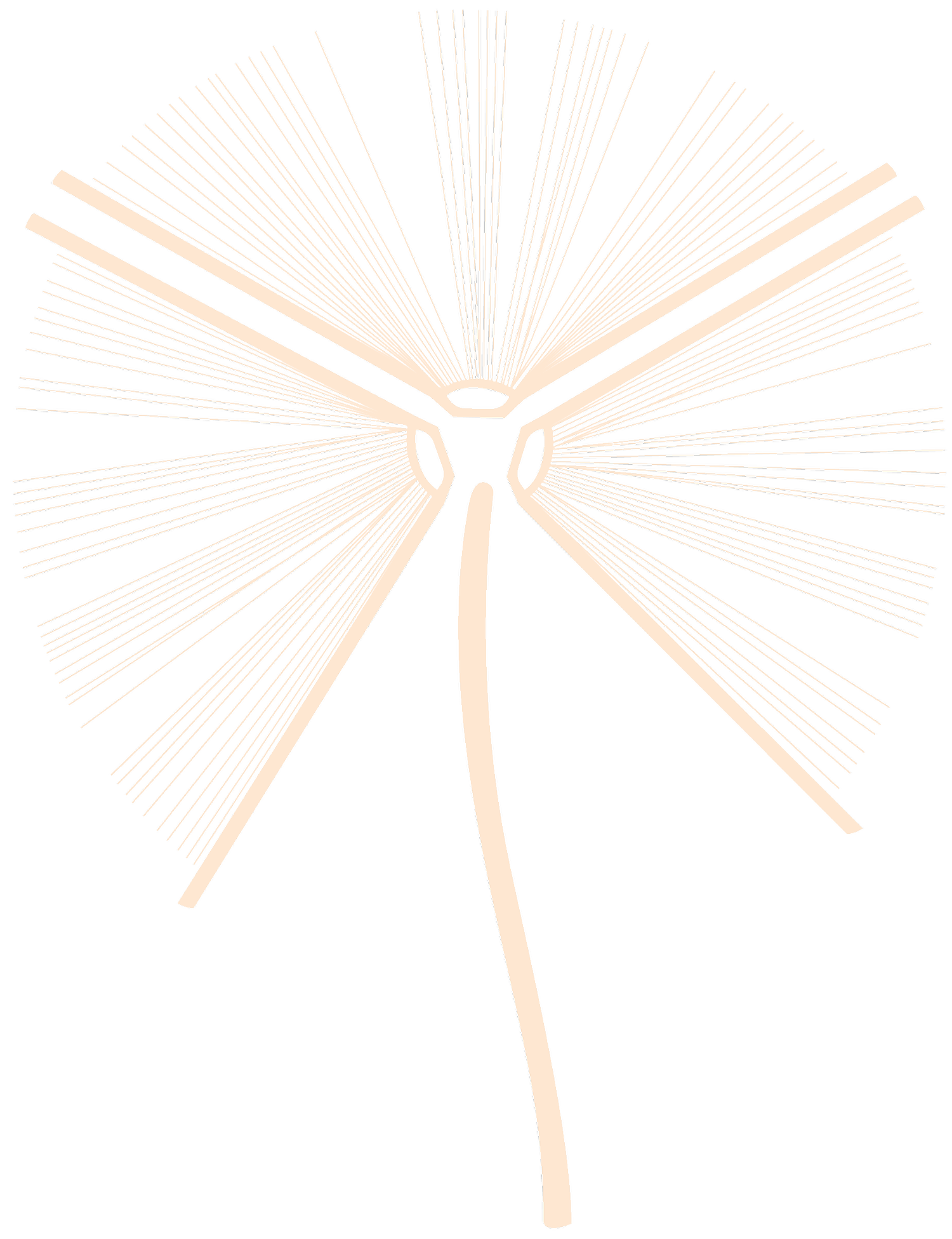 Bound - The Letterbox Book Collective