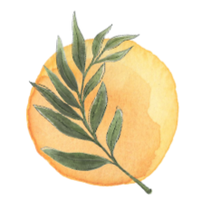 Pura Vida Collective