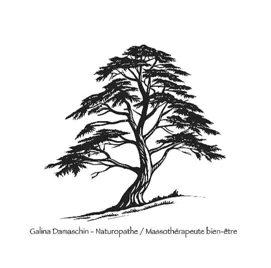Galina Damaschin - Naturopathe / Massothérapeute bien-être