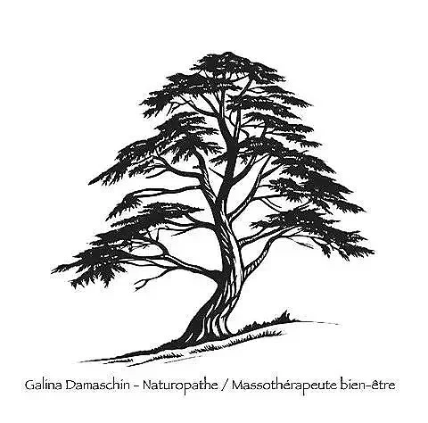 Galina Damaschin - Naturopathe / Massothérapeute bien-être