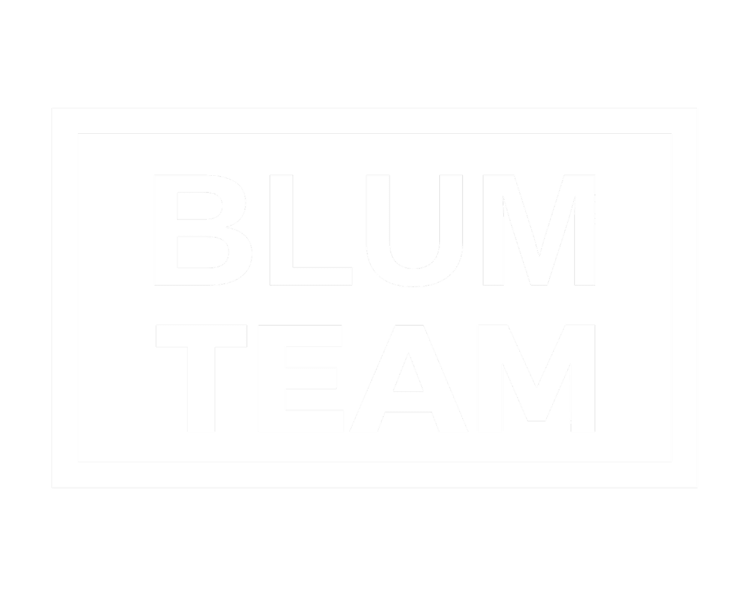 The Blum Team