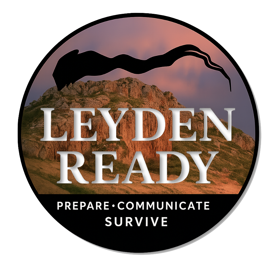 LeydenReady