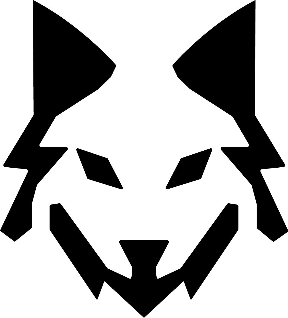 WULFMAN PERFORMANCE
