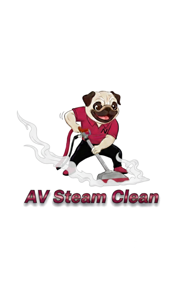 Av Steam Clean