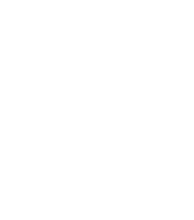 Little Raven Charity Fundraising