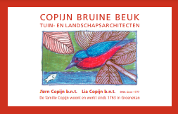 Copijn Bruine Beuk | Tuin- en landschaparchitecten