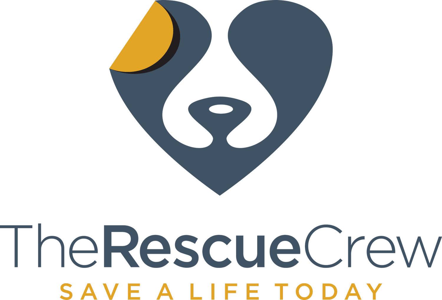 The Rescue Crew