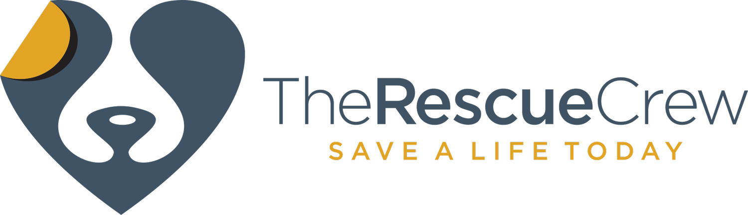The Rescue Crew