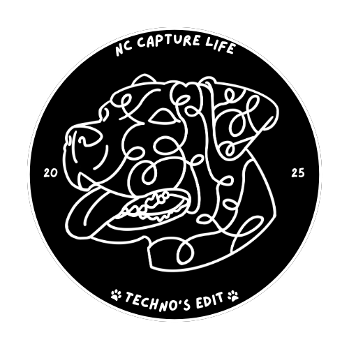 NC Capture Life: Techno's Edit