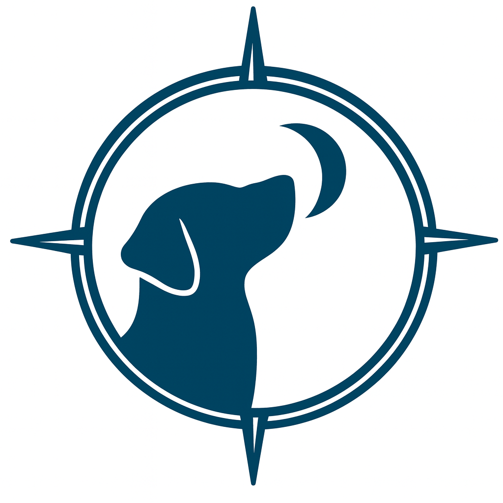 Jones True North Therapy, PLLC