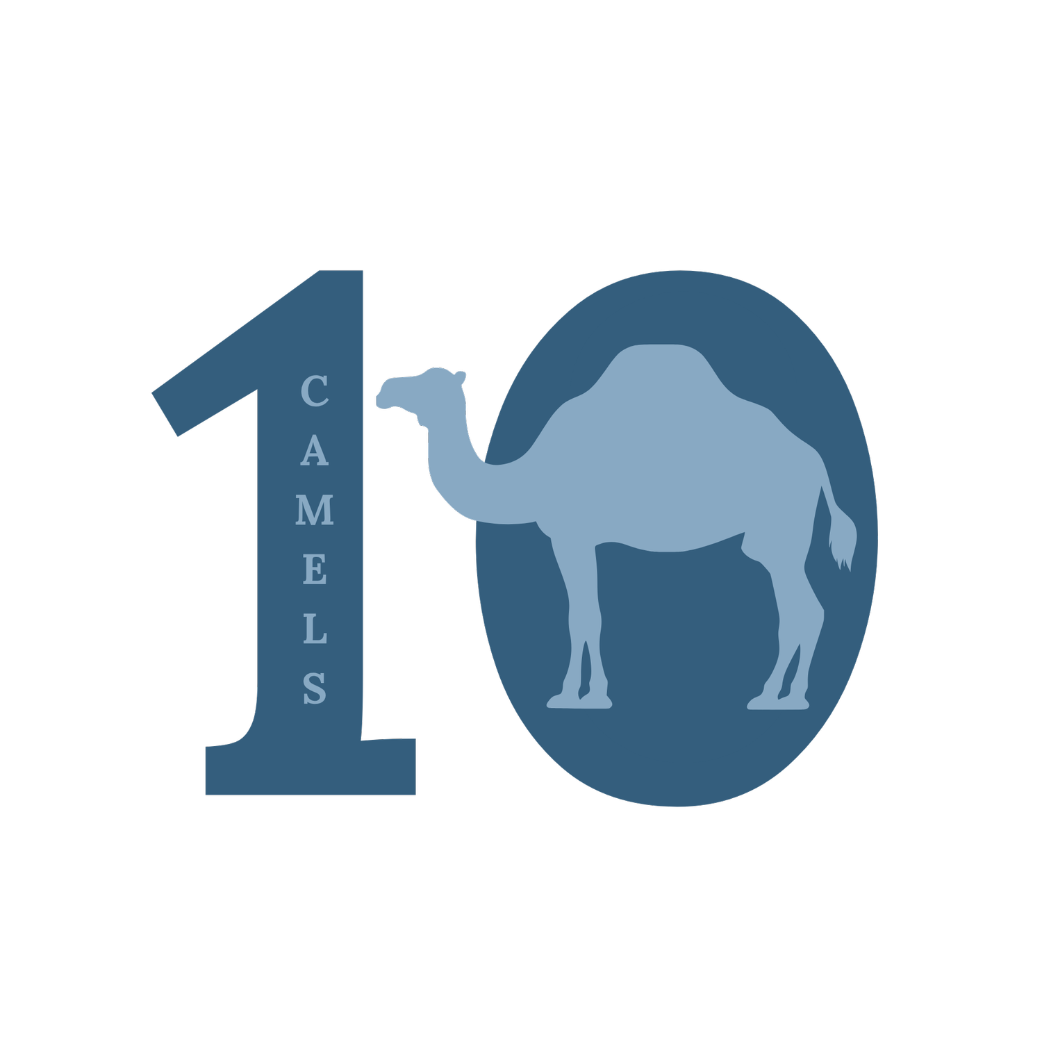 10CAMELS