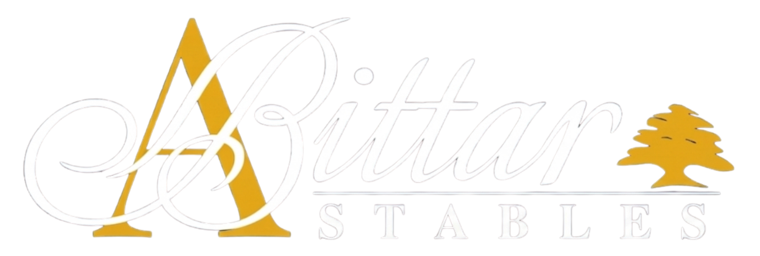 Alyce Bittar Stables