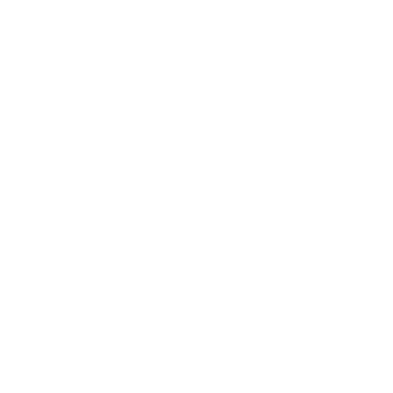 Zenith Fit