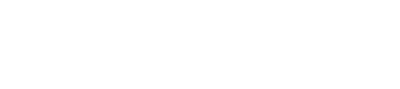 Stealth Consulting
