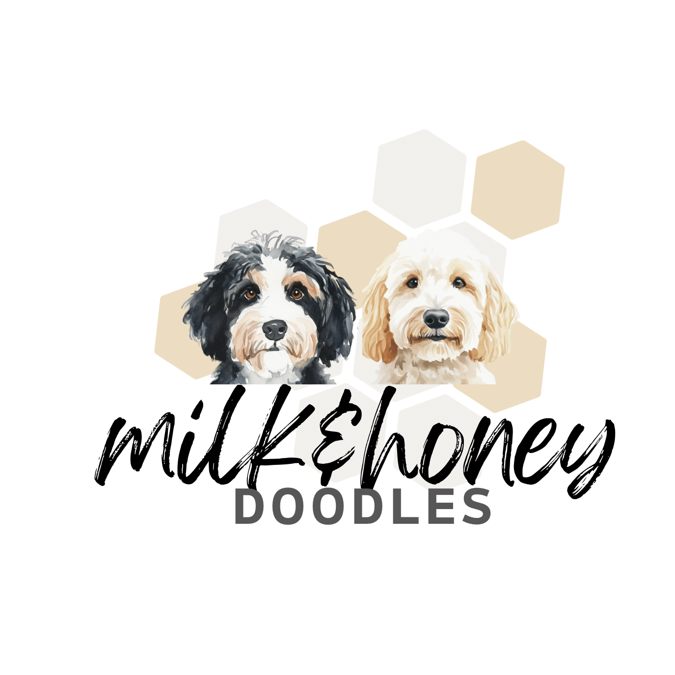 Milk & Honey Doodles KY