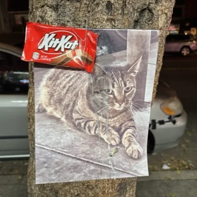 $KitKat