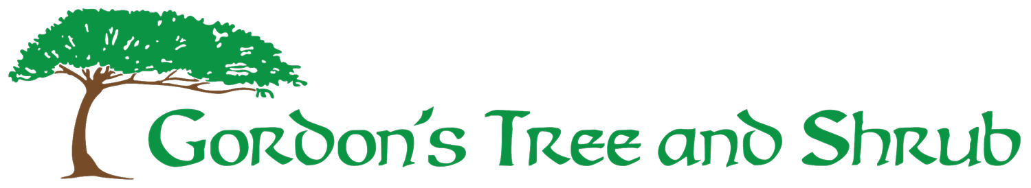 Gordon’s Tree and Shrub