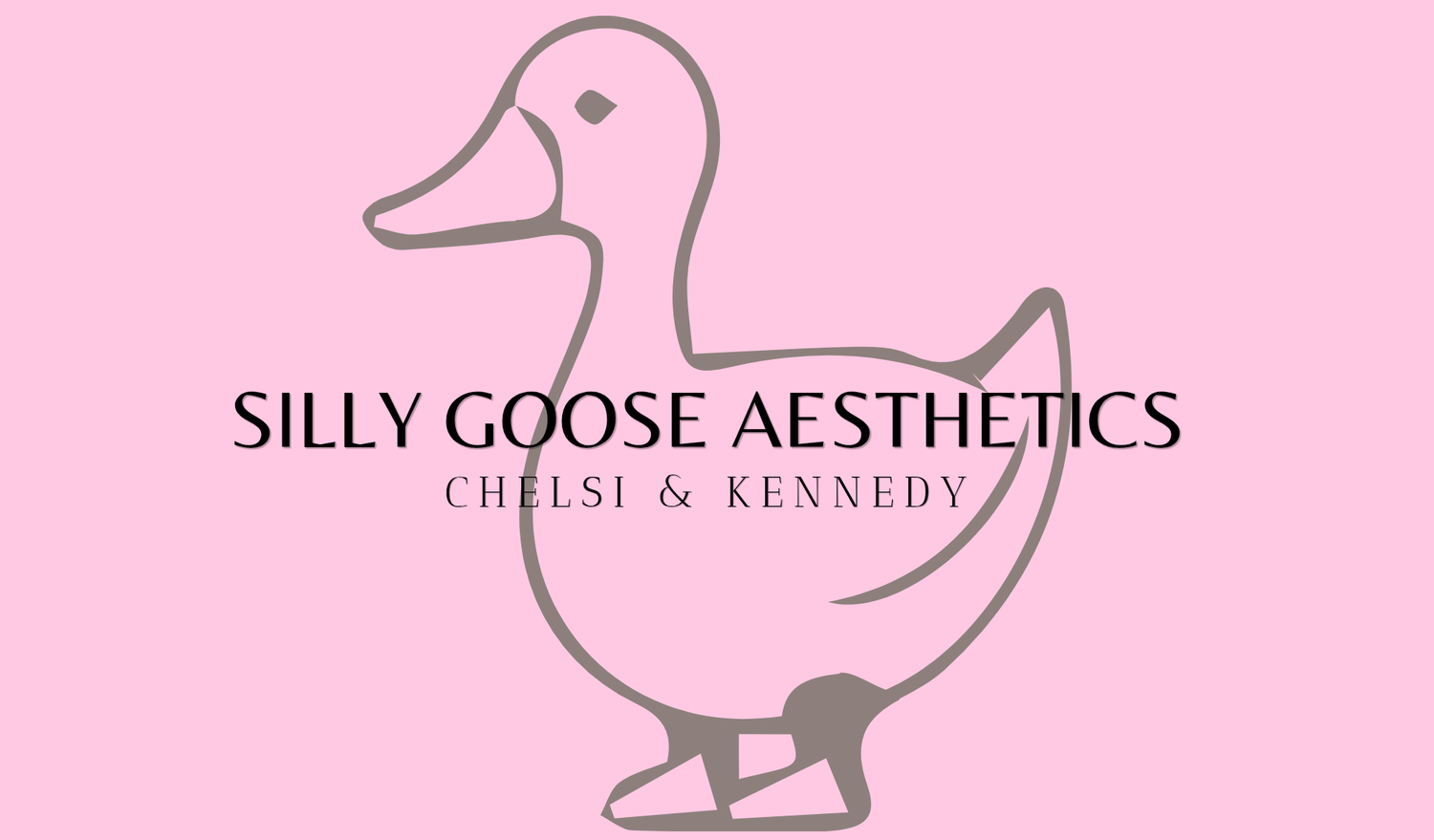 Silly geese network