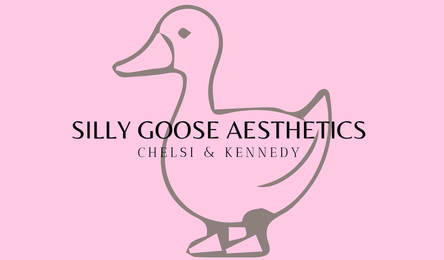 Silly geese network