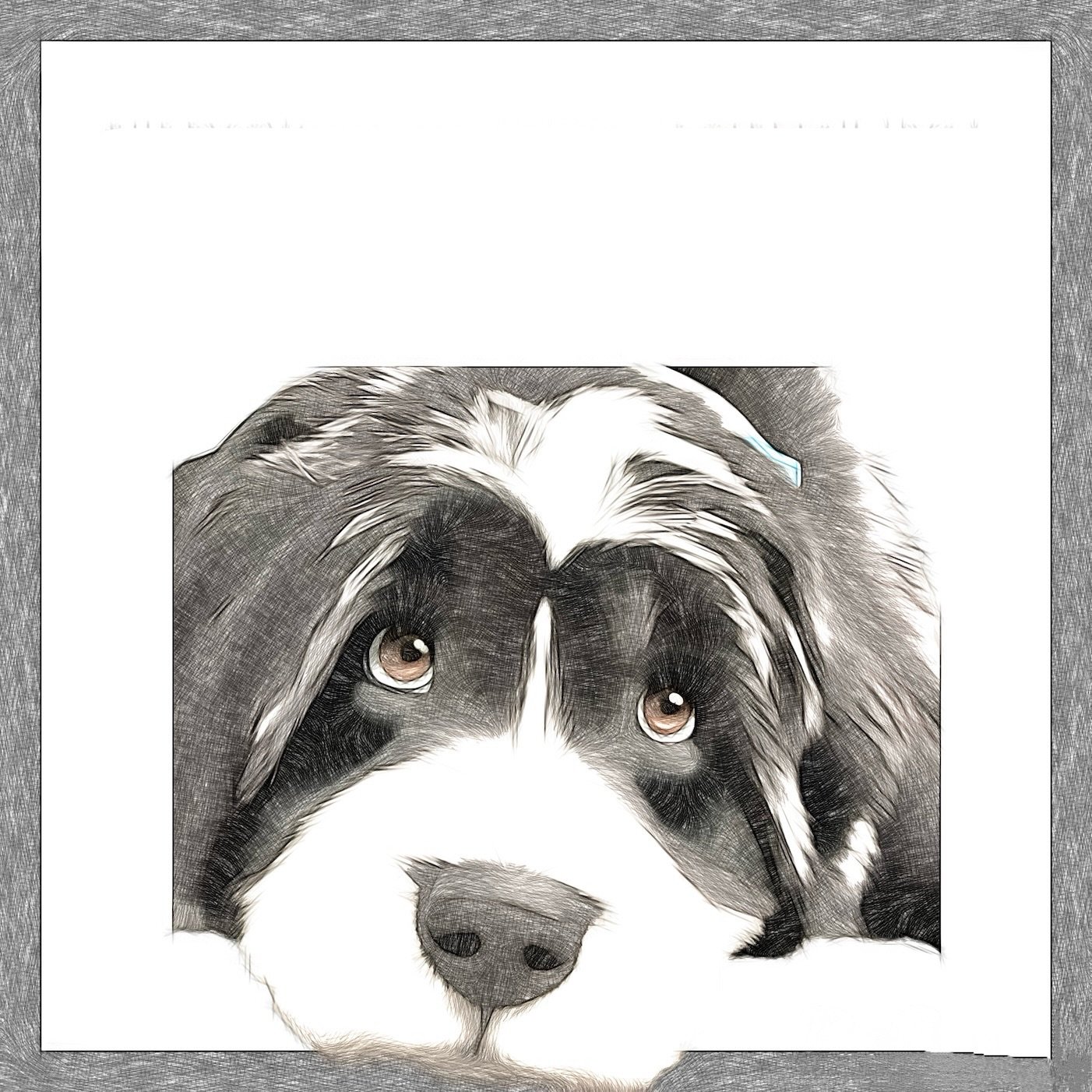 Myca's Studio - Pet Art