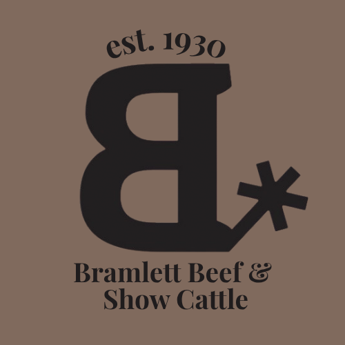 Bramlett Beef & Show Cattle
