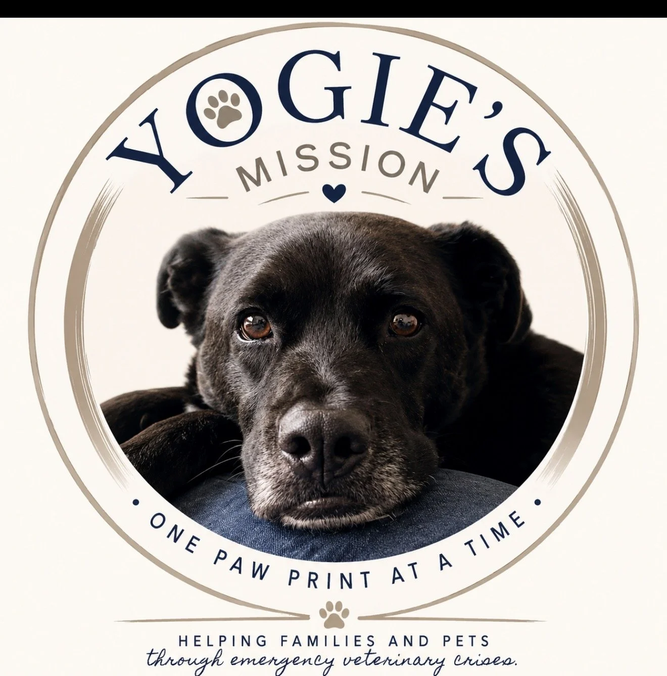 Yogie’s Mission