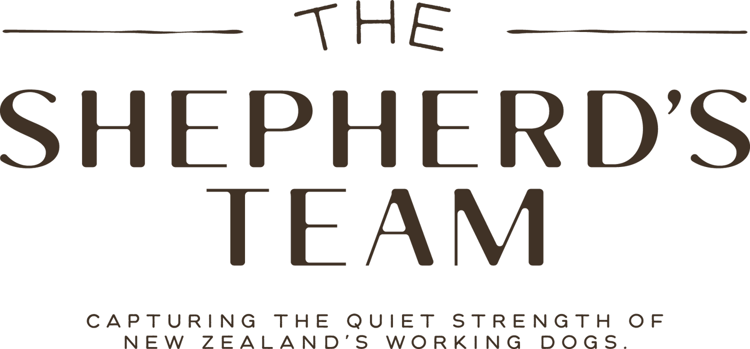 The Shepherds Team
