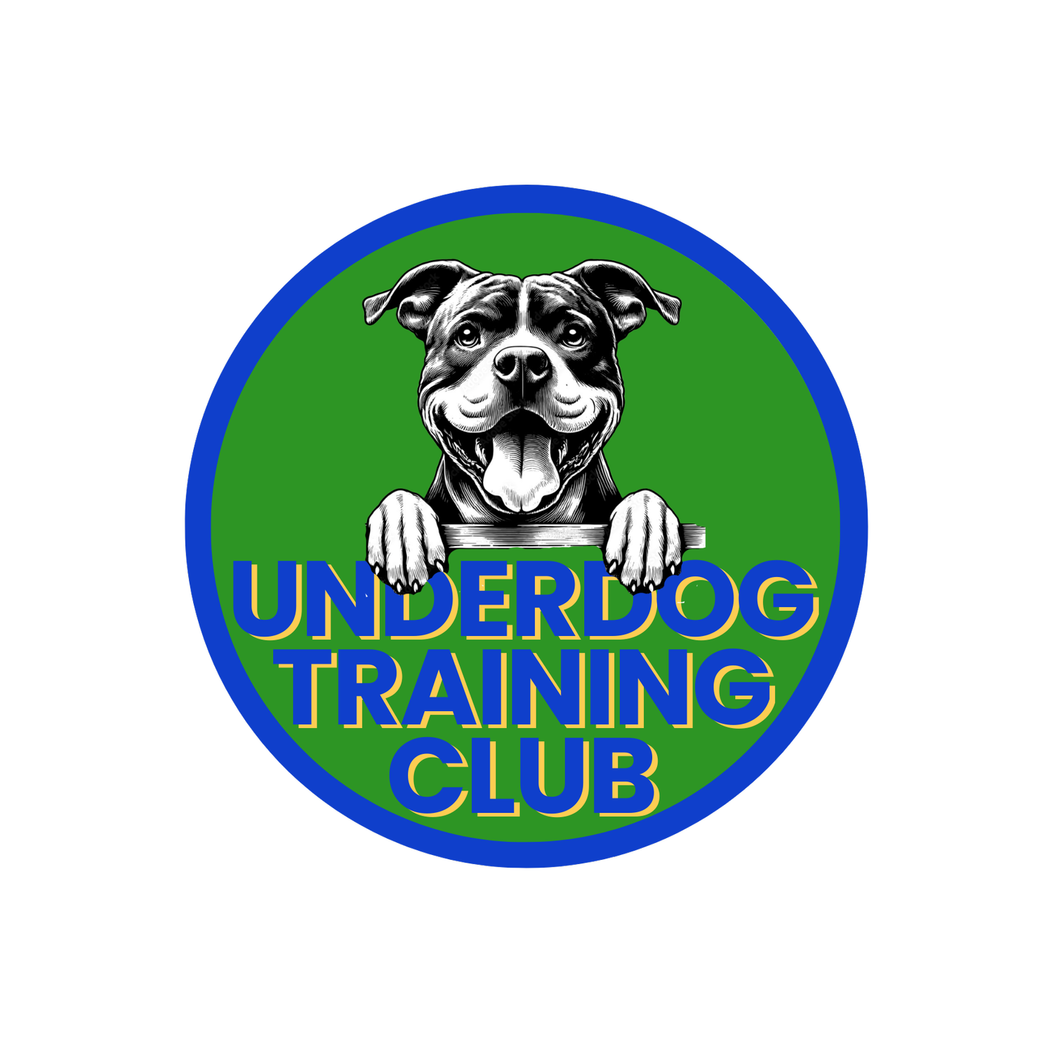 UNDERDOG TRAINING CLUB