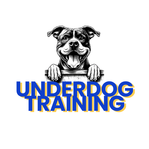 UNDERDOG TRAINING CLUB