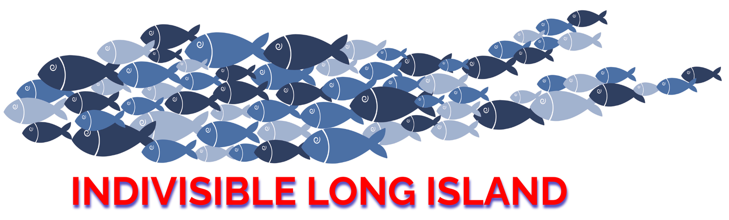 Indivisible Long Island