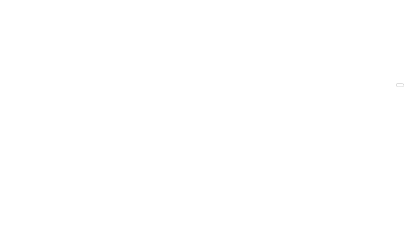 Strategie-Coach