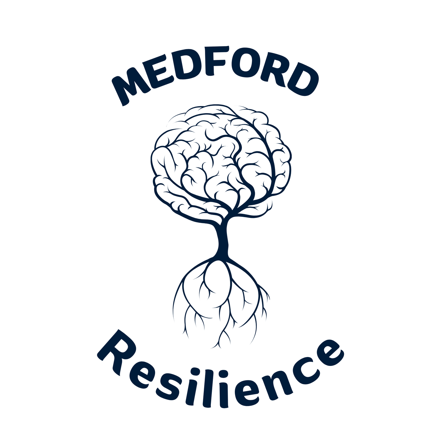Medford Rogue Resilience, LLC