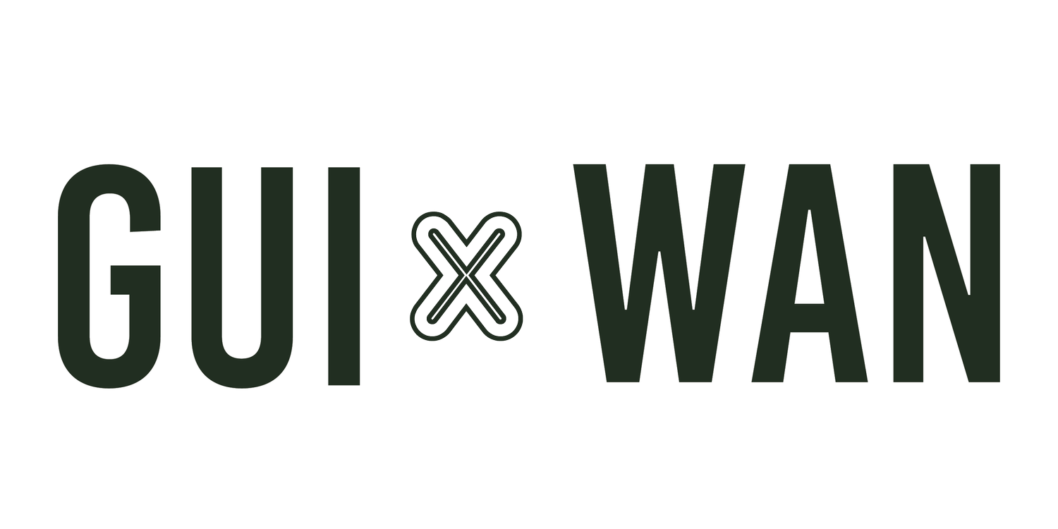 GUI x WAN