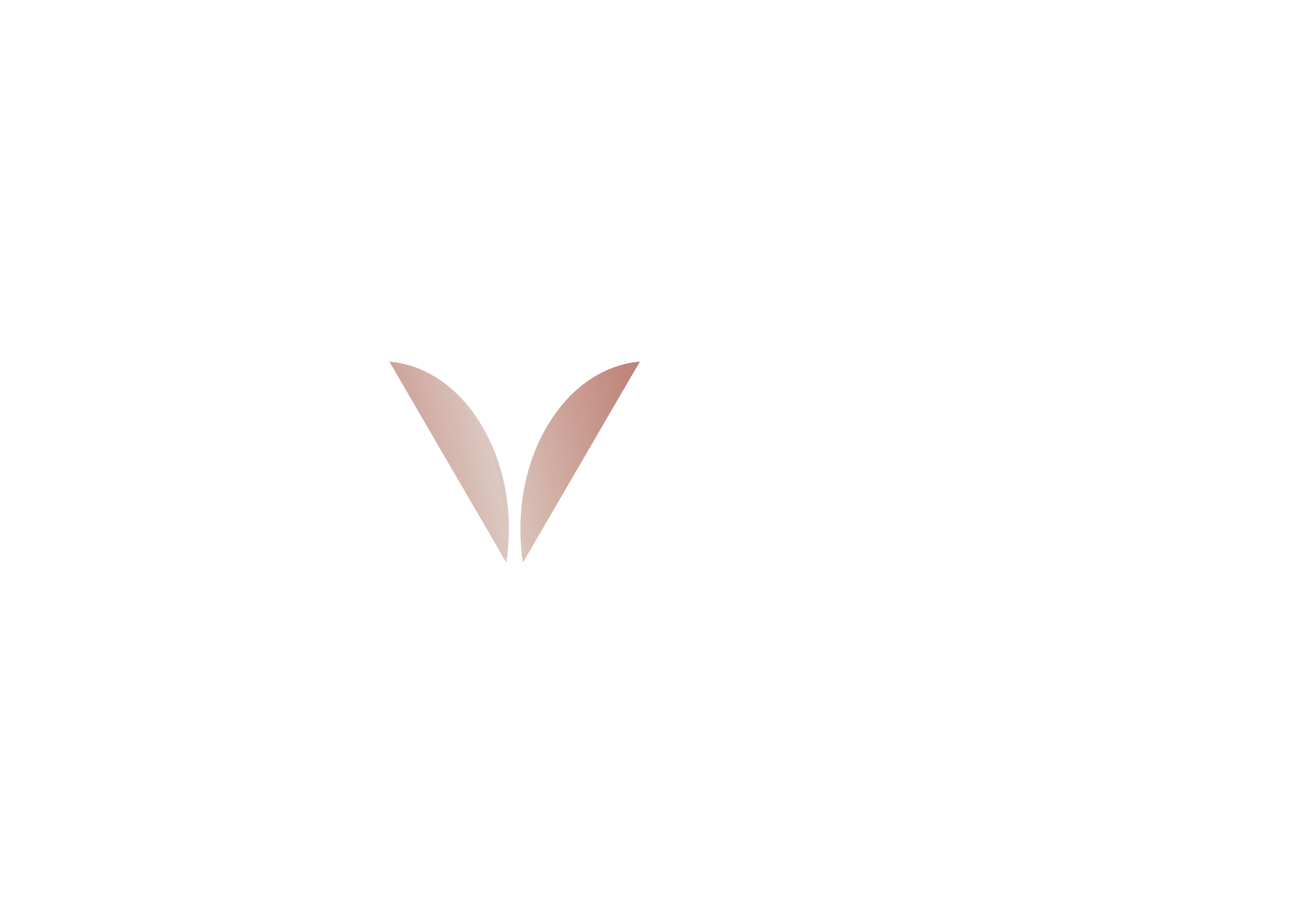 Velvet Coconut Partnership