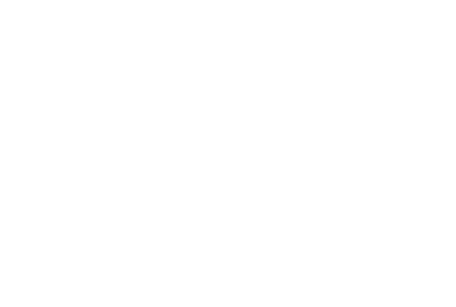Mt Elizabeth Station