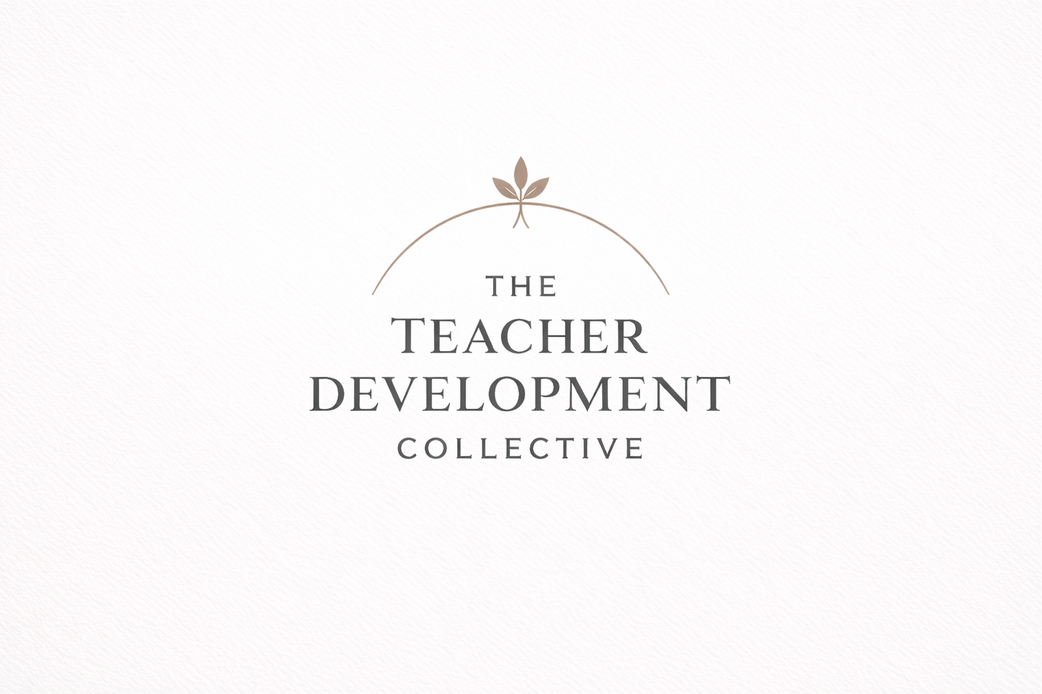 The Teacher Development Collective