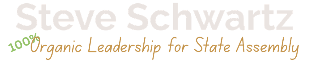 Steve Schwartz for Assembly