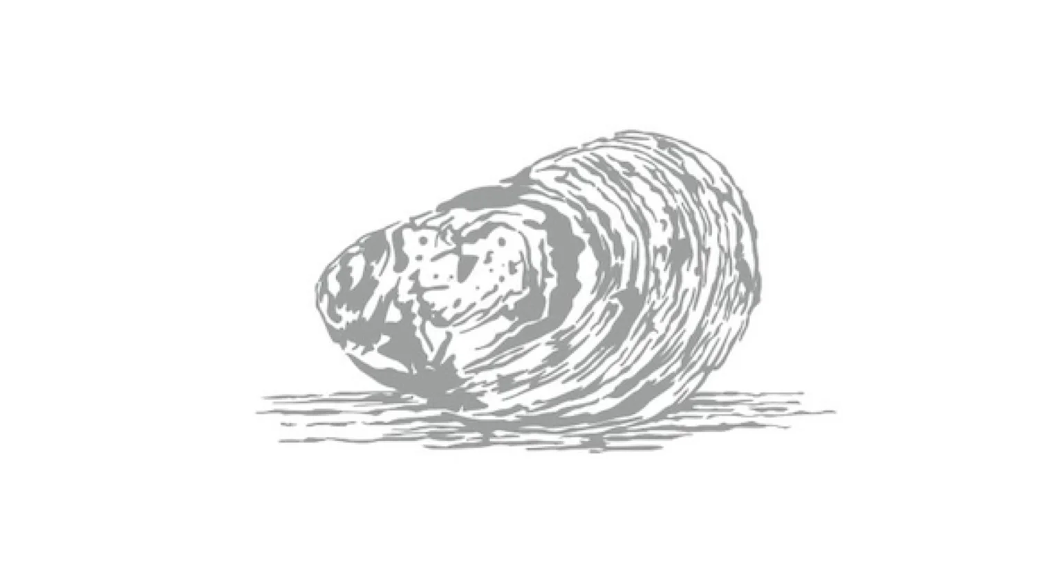 Oyster Development