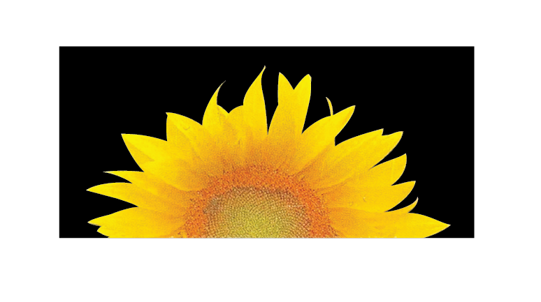 Maude's Way: End of Life Counseling and Support