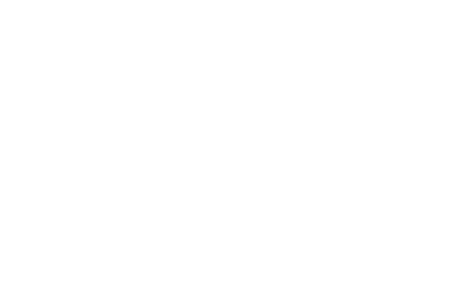 Raiber-Marketing