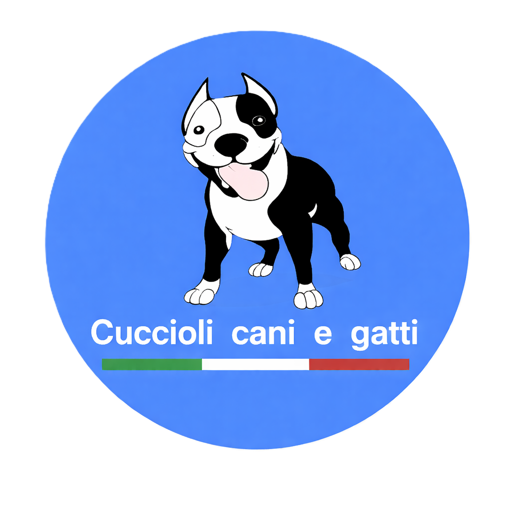Cuccioli Cani e Gatti