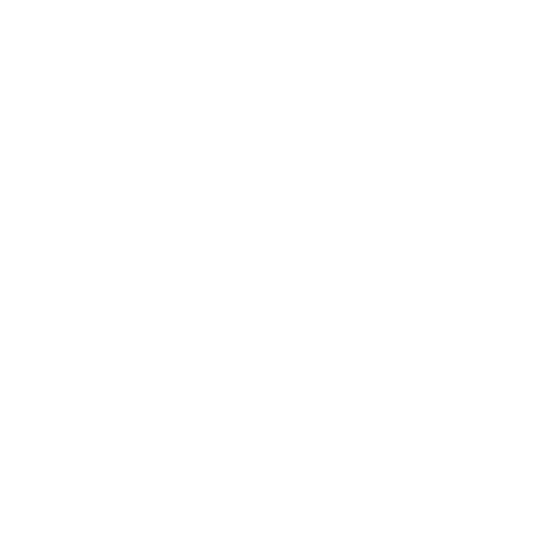 BEYOND THE MOUNTAIN WELLNESS